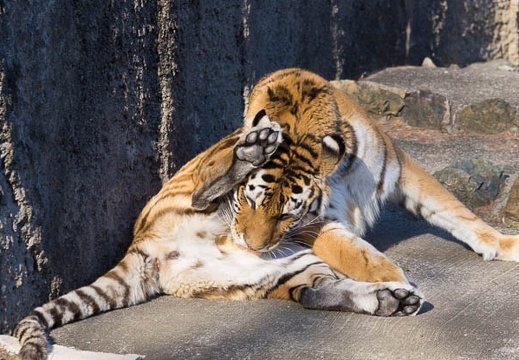 201502011450-DSC06011.jpg