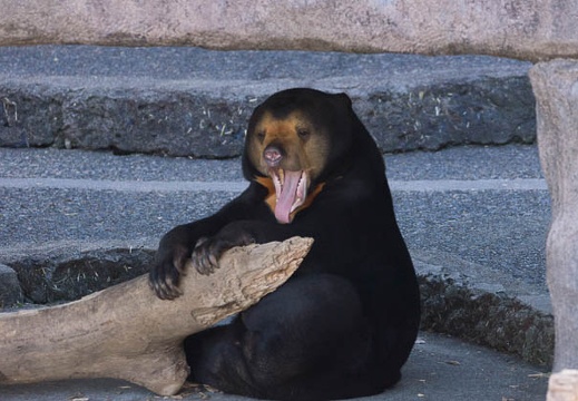 201502011500-DSC06047.jpg