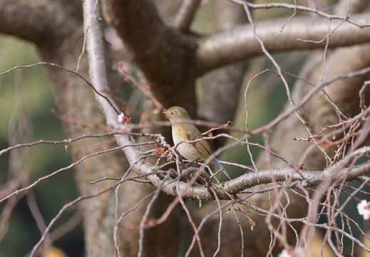 201502211021-DSC06184.jpg