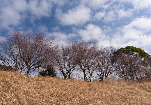 201502211035-DSC03352N6.jpg