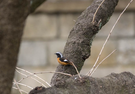 201502211218-DSC06289.jpg