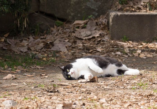 201502211221-DSC06325.jpg