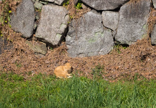 201502211231-DSC06338.jpg