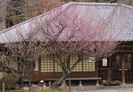 201502211310-DSC06355.jpg