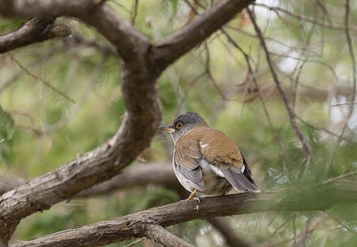 201502211344-DSC06408.jpg