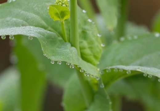 201502250800-DSC06453.jpg