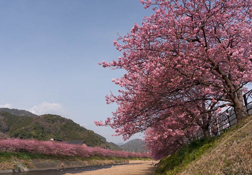 201502250920-DSC03468N6.jpg