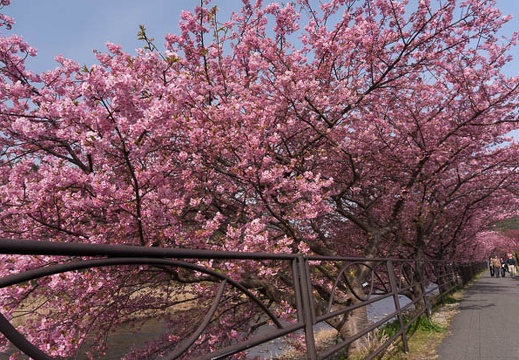 201502250936-DSC03493N6.jpg
