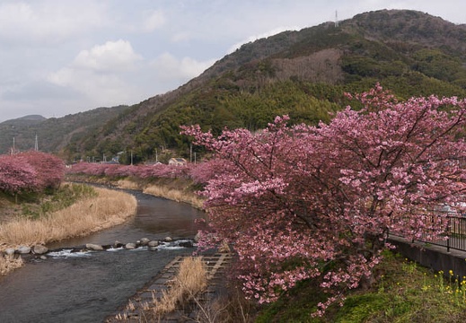 201502250954-DSC03500N6.jpg