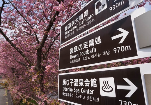 201502251010-DSC03518N6.jpg