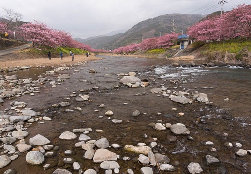 201502251104-DSC03563N6.jpg