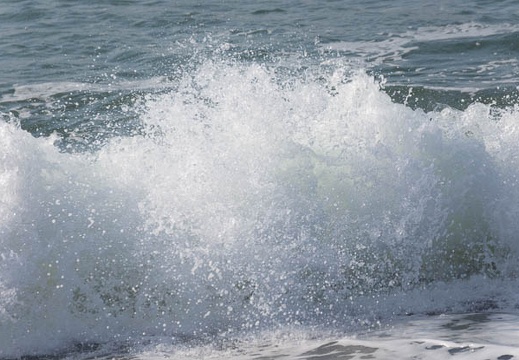 201502270839-DSC07245.jpg