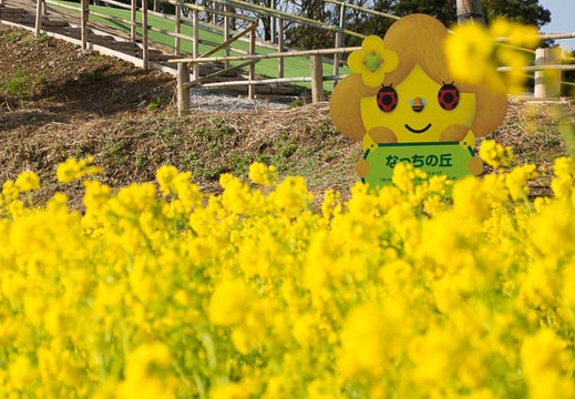 201502270901-DSC07291.jpg