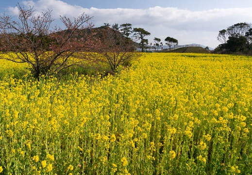 201502270927-DSC03705N6.jpg