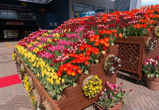 201503021300-DSC03821N6.jpg