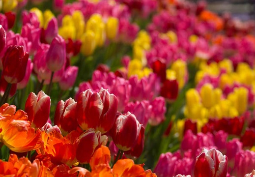 201503021302-DSC07665.jpg