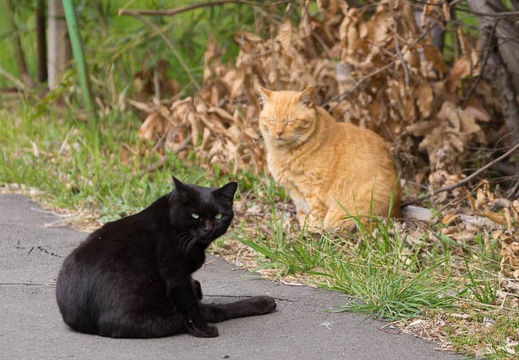 201503061222-DSC07768.jpg