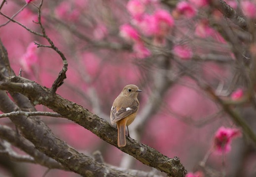 201503061251-DSC07842.jpg