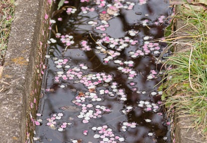 201503061323-DSC07926.jpg