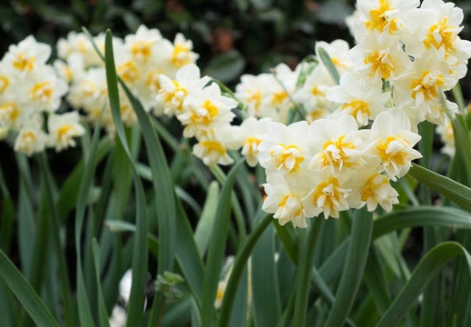 201503071036-DSC07806R10.jpg