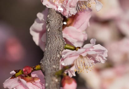 201503080802-DSC08076.jpg
