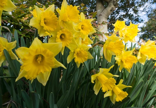 201503080811-DSC03976N6.jpg