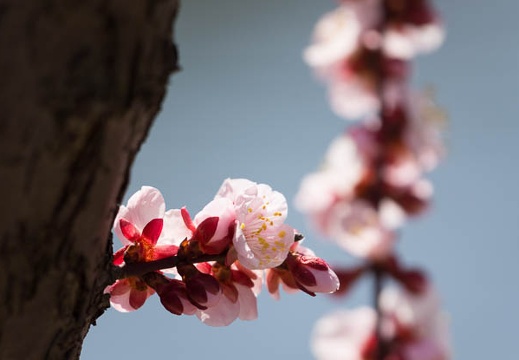 201503081311-DSC08578.jpg