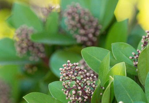 201503081402-DSC08616.jpg