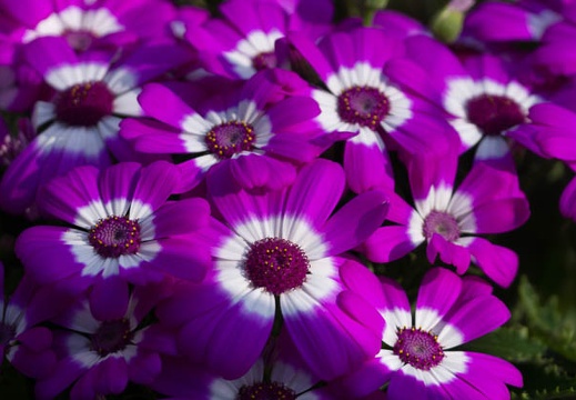 201503081454-DSC08648.jpg