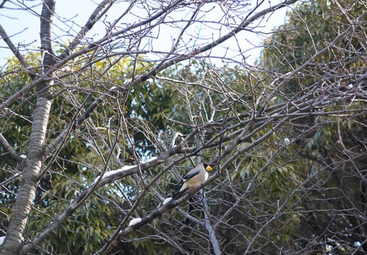 201503110952-DSC08249.jpg
