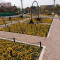 201503131139-DSC04599N6.jpg