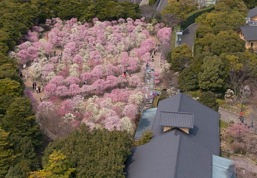 201503131152-DSC04610N6.jpg