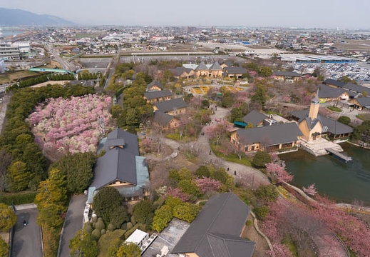 201503131152-DSC04614N6.jpg