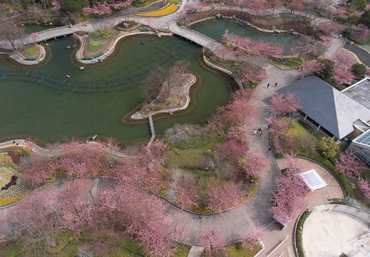 201503131152-DSC04618N6.jpg