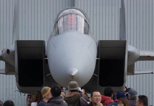 201503150950-DSC09964.jpg