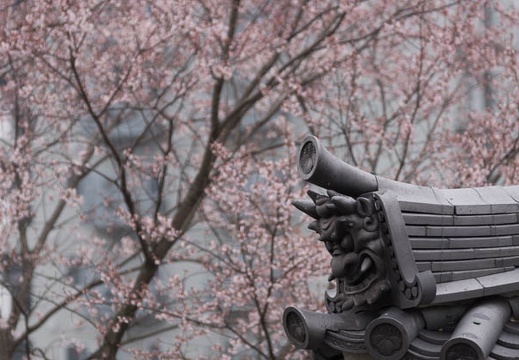 201503201118-DSC00988.jpg