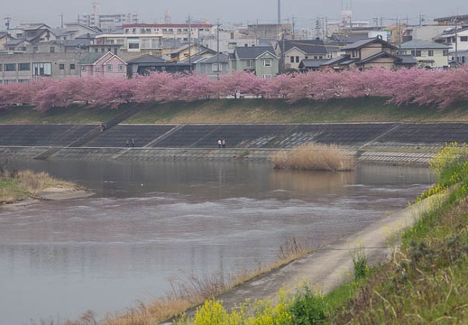 201503201138-DSC01009.jpg