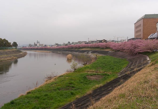 201503201150-DSC05354N6.jpg