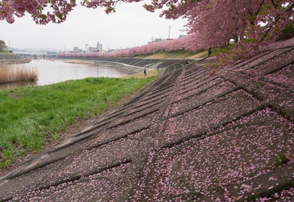 201503201211-DSC05408N6.jpg