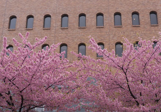 201503201214-DSC05412N6.jpg