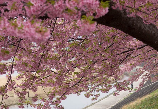 201503201229-DSC01110.jpg