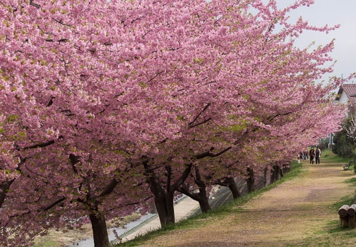 201503201247-DSC01150.jpg