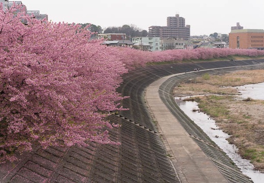 201503201310-DSC05496N6.jpg