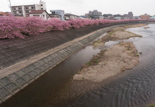 201503201314-DSC05500N6.jpg
