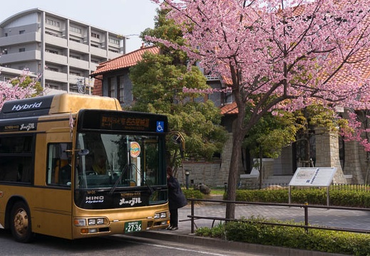 201503211016-DSC05556N6.jpg