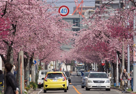 201503211105-DSC01527.jpg