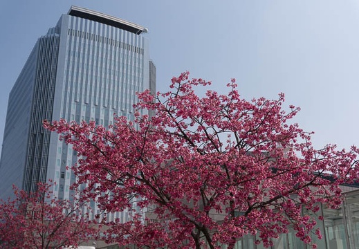 201503211228-DSC05636N6.jpg