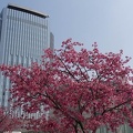 201503211228-DSC05636N6.jpg