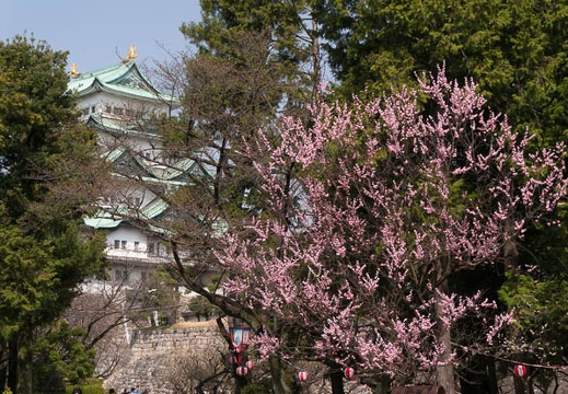 201503211327-DSC05646N6.jpg