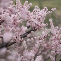 201503220851-DSC01902.jpg